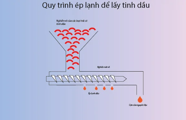 Phương pháp chiết xuất tinh dầu bằng ép lạn Phương pháp chiết xuất tinh dầu bằng ép lạn