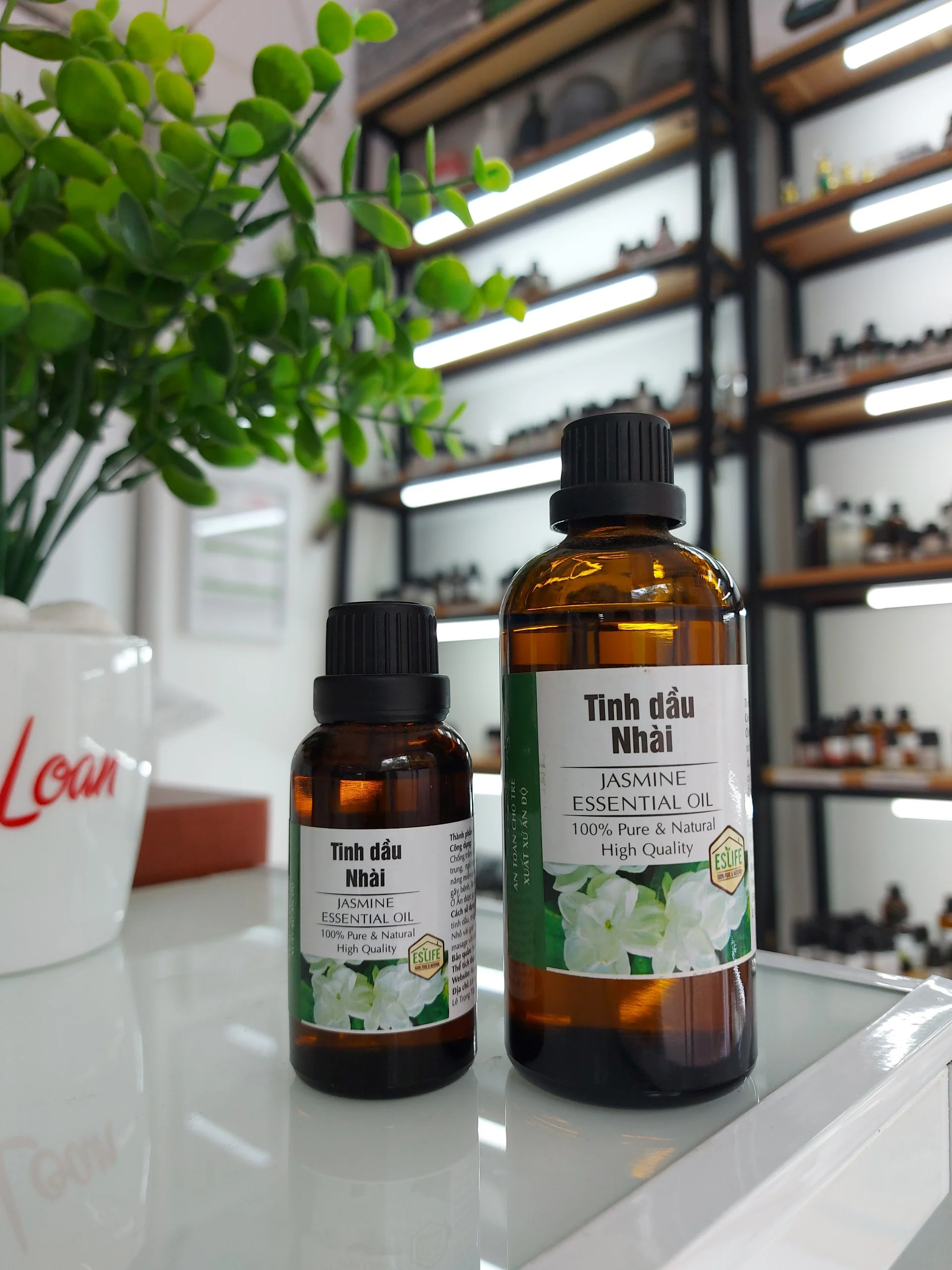 sỉ tinh dầu nhài