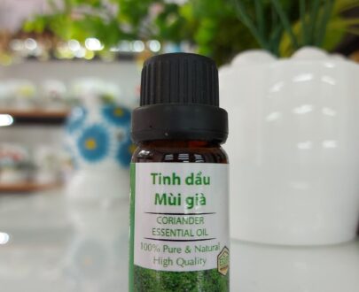 sỉ tinh dầu mùi già