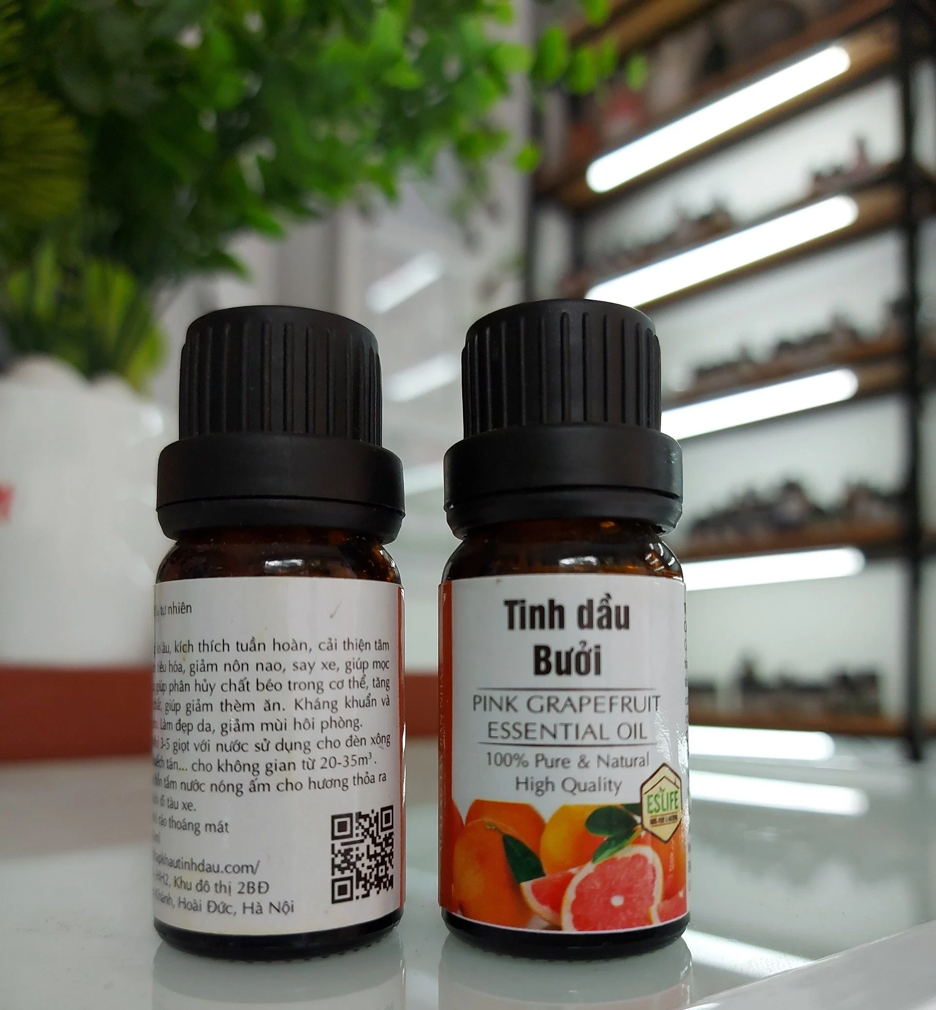 Sỉ tinh dầu bưởi hồng