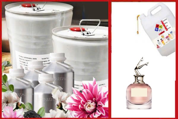 Sỉ Tinh dầu nước hoa Jean.Paul.Gaultier