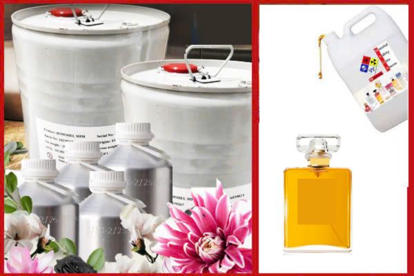 sỉ hương nước hoa CoCo Chanel